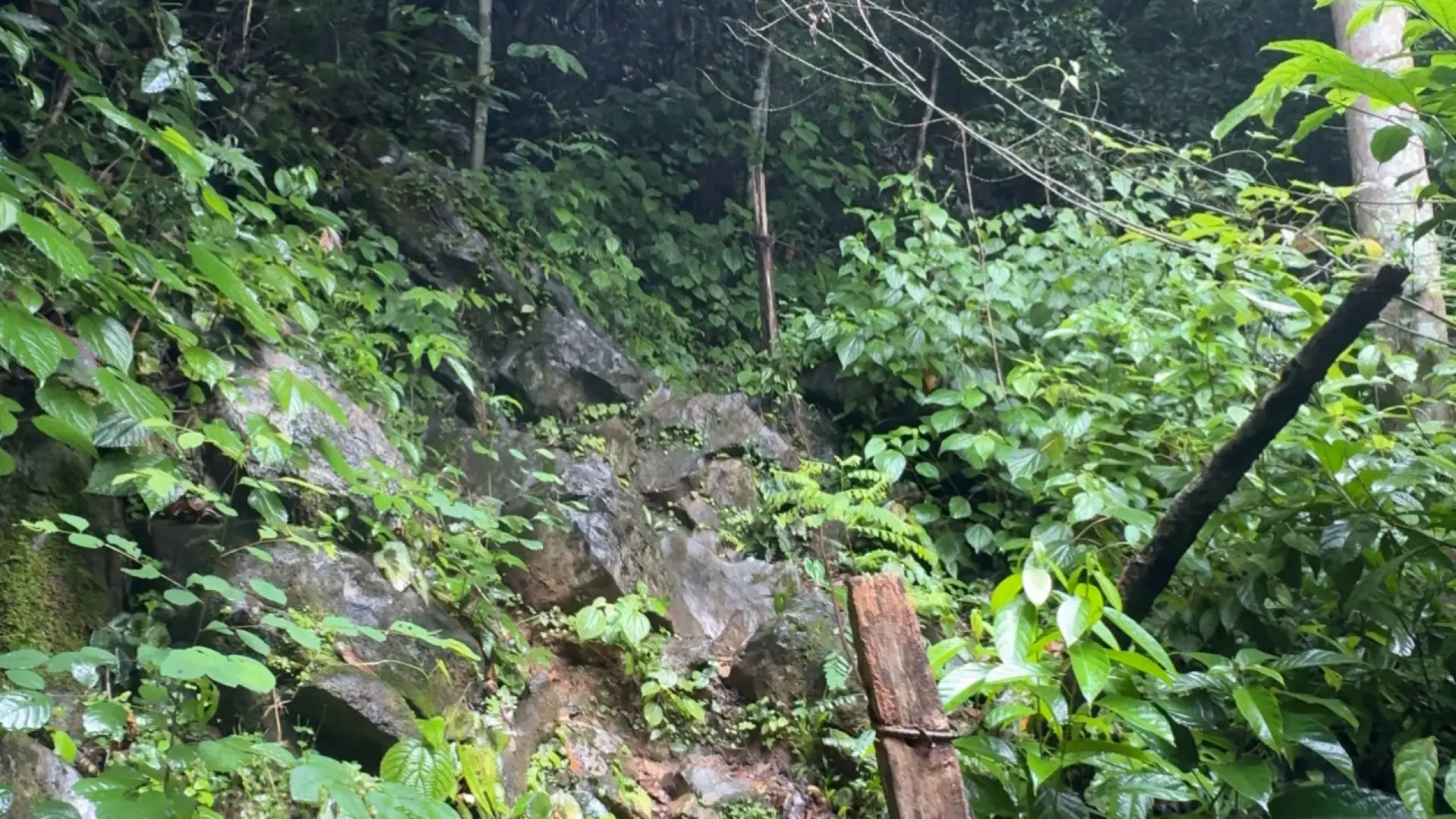 Pha Ngeun Viewpoint (Silver Cliff)