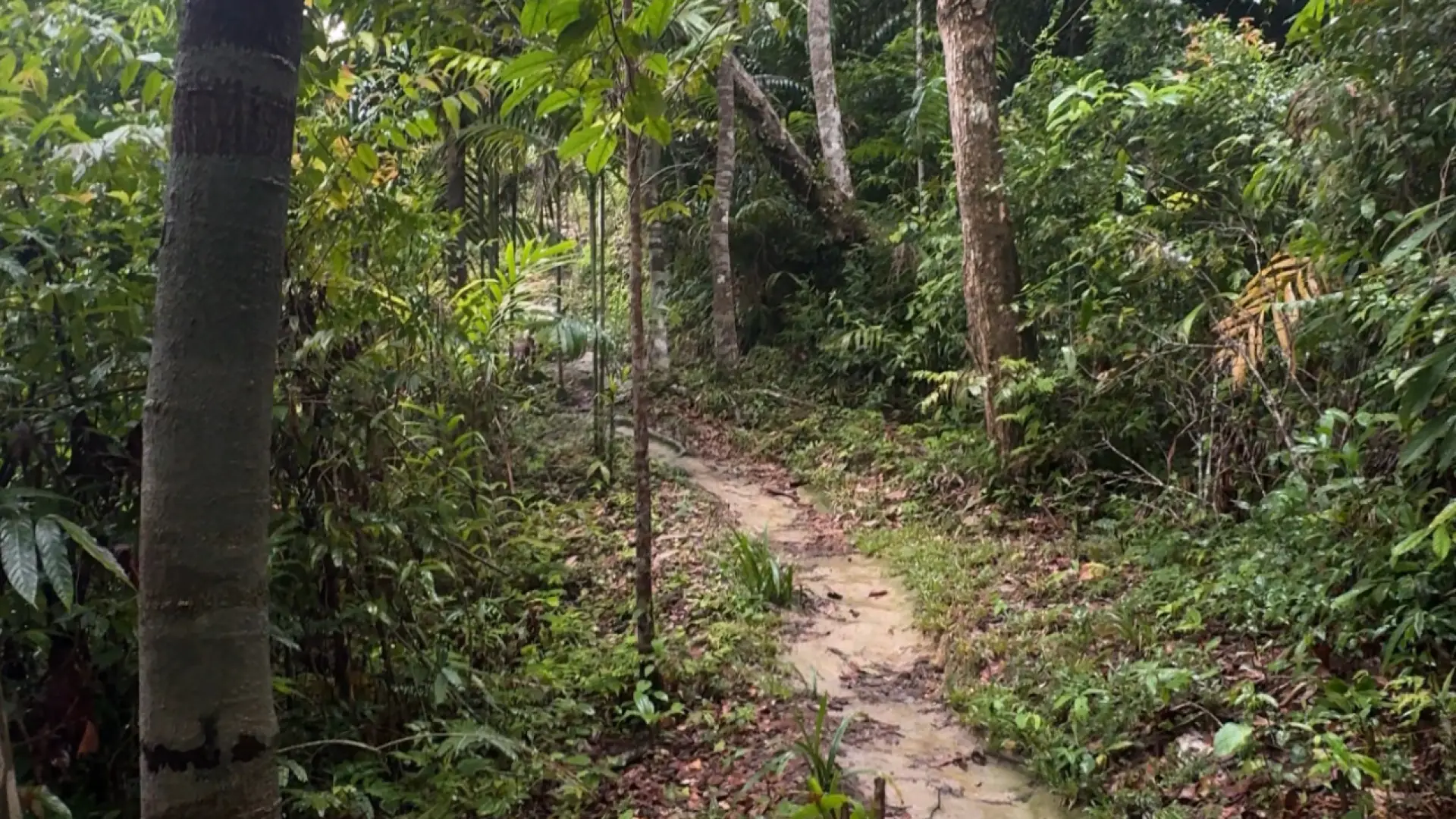 Pha Ngeun Viewpoint (Silver Cliff)