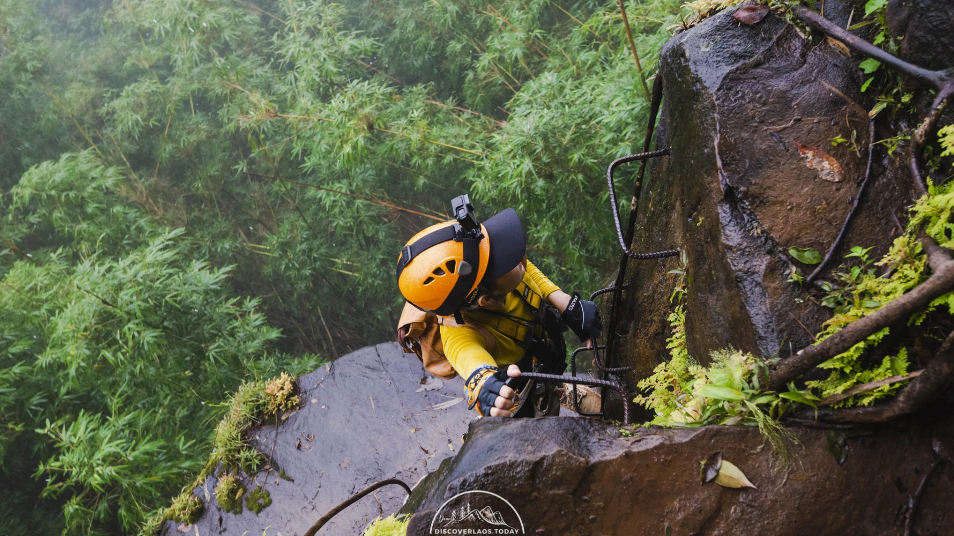 Tree Top Explorer