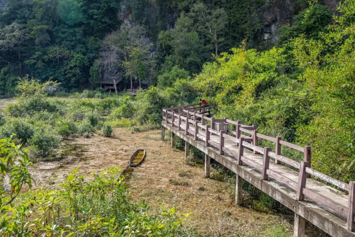 Photo by : Tarannosaurus