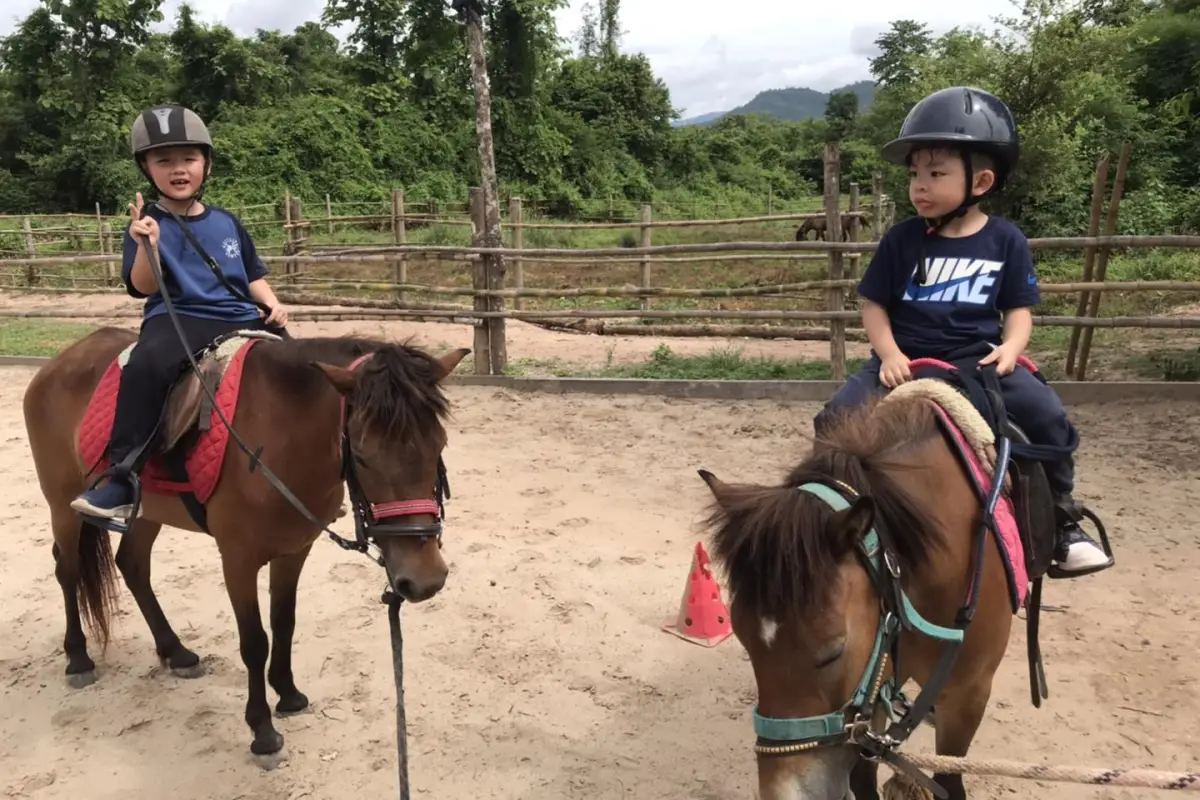 Pony Ride Experience in Luang Prabang
