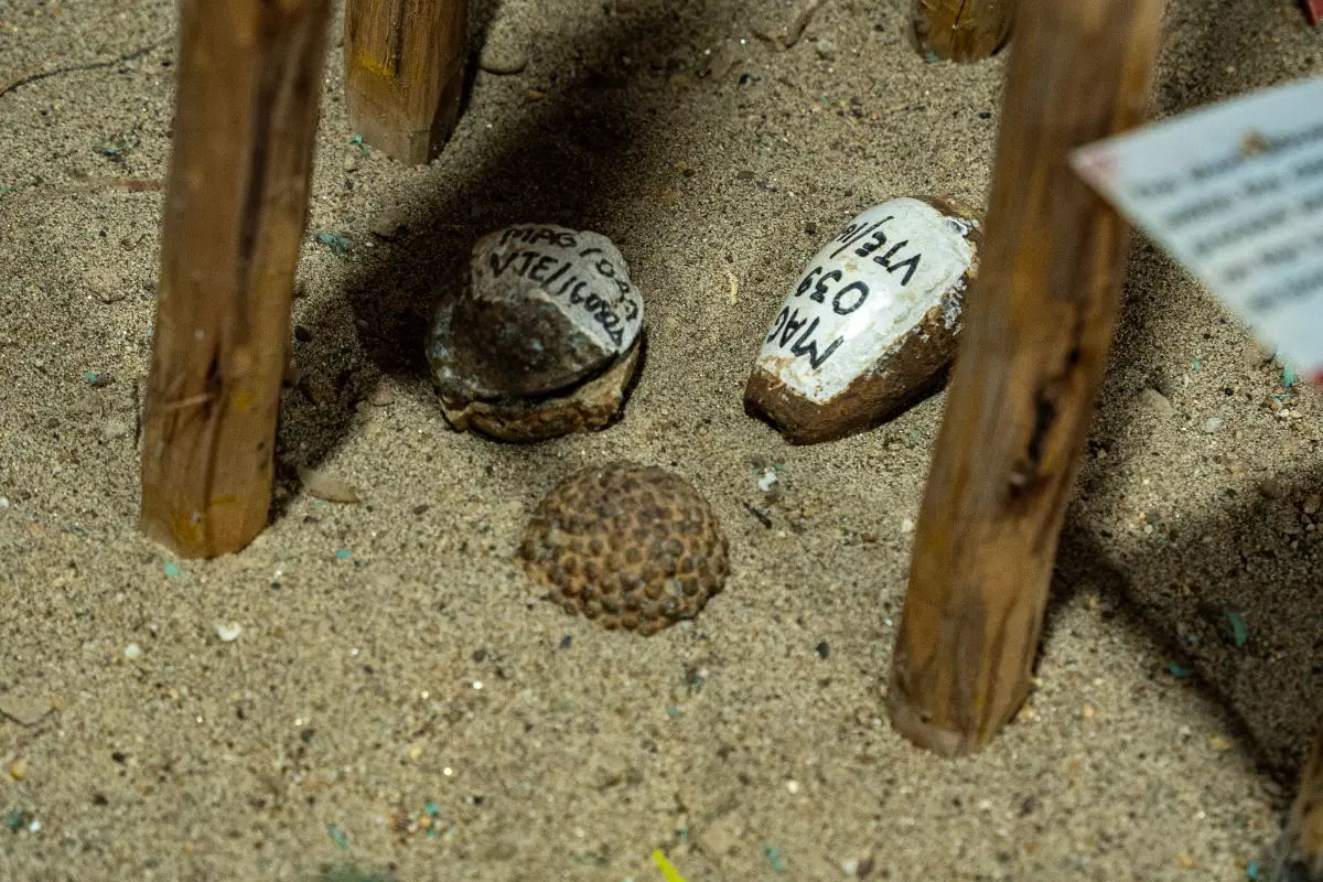 MAG UXO Visitor Information Centres