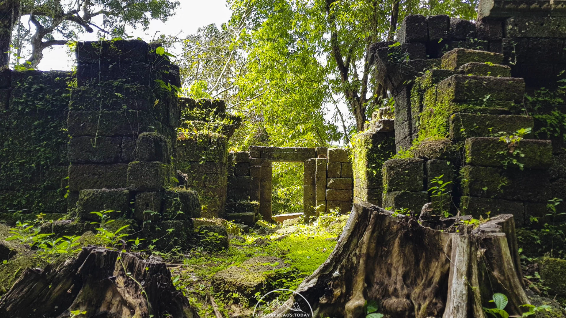 Wat Tomo ( Oum Moung Temple )