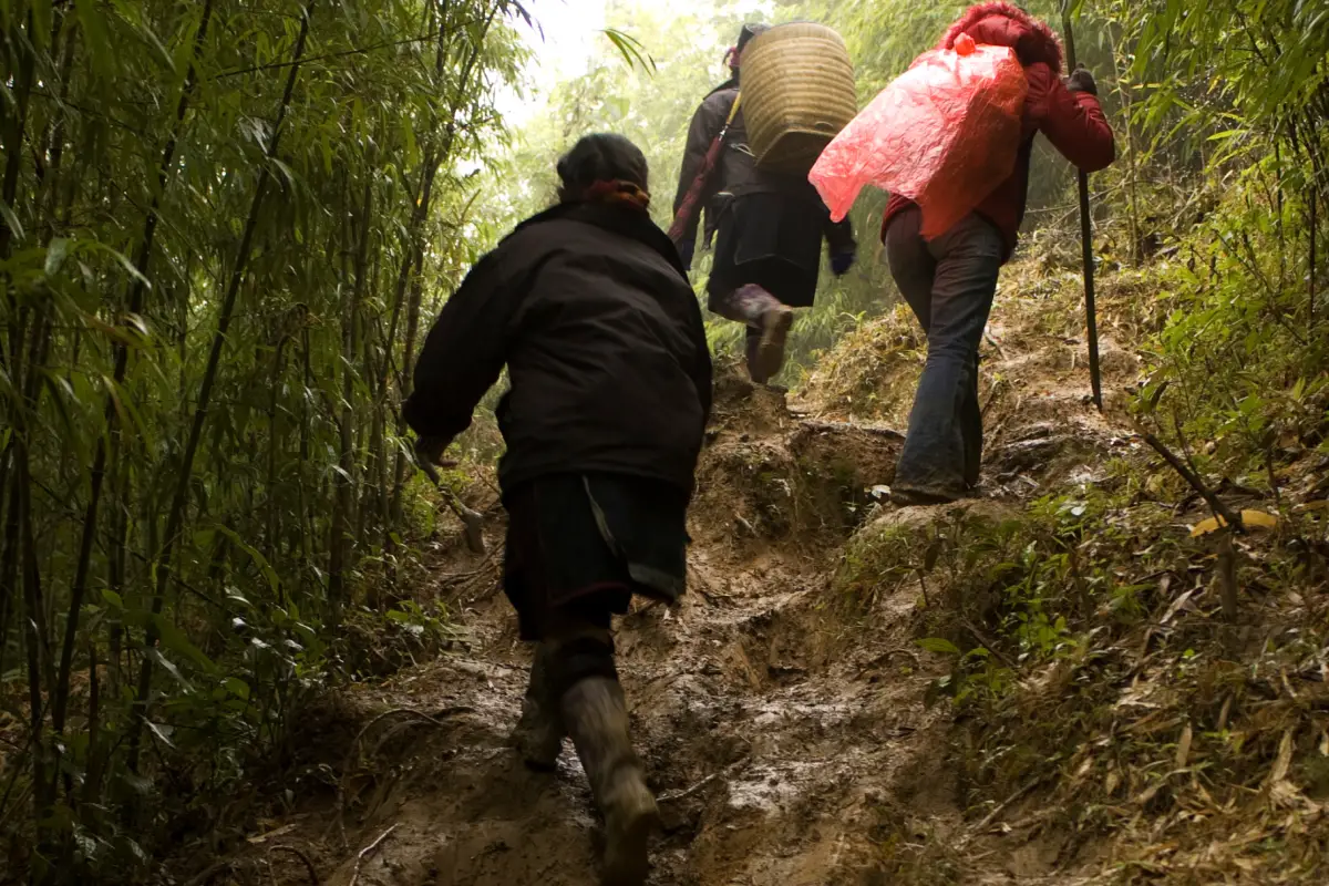Trekking in Luang Prabang