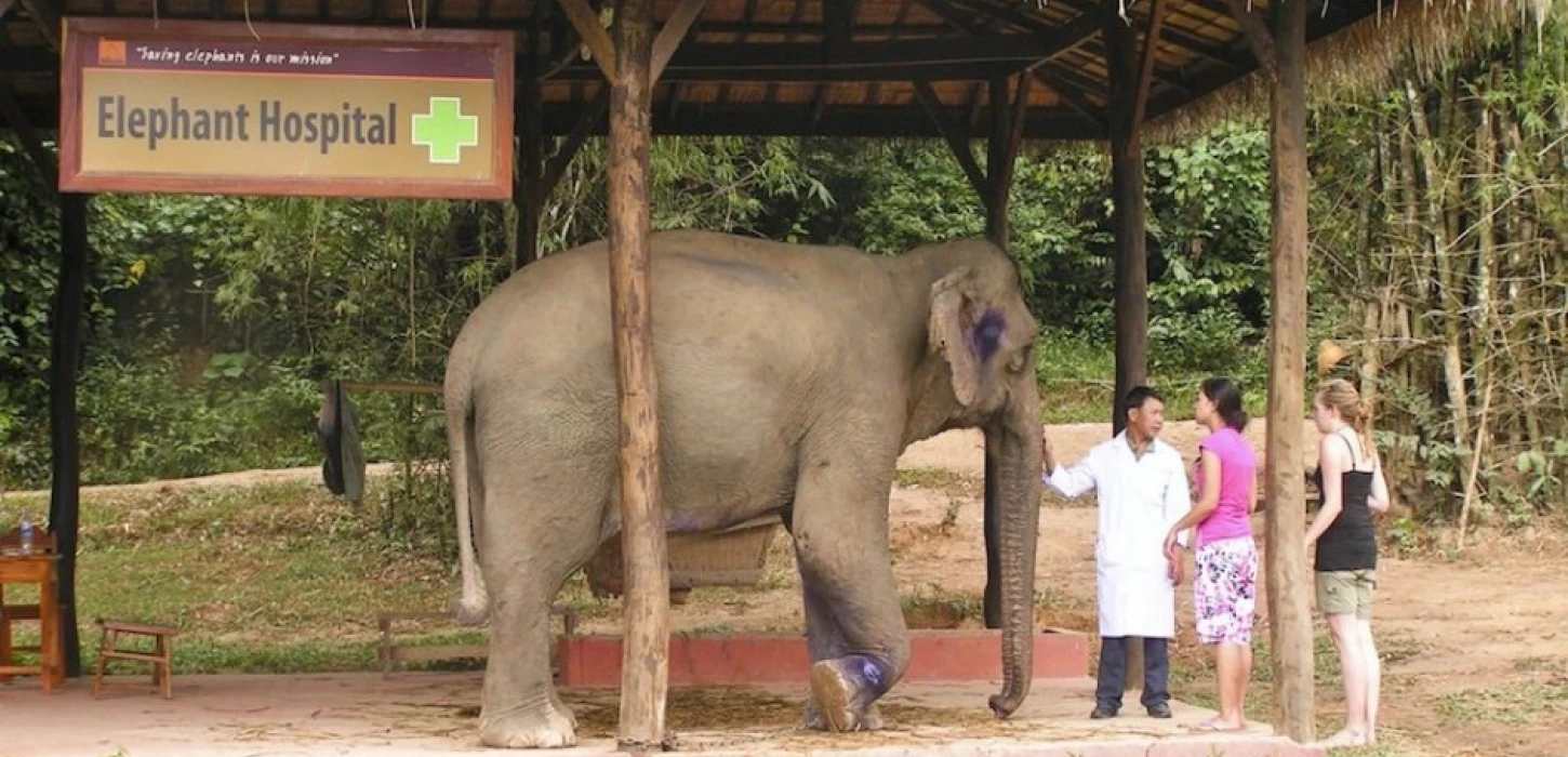 ทัศนศึกษาที่เขตรักษาพันธุ์หมู่บ้านช้าง