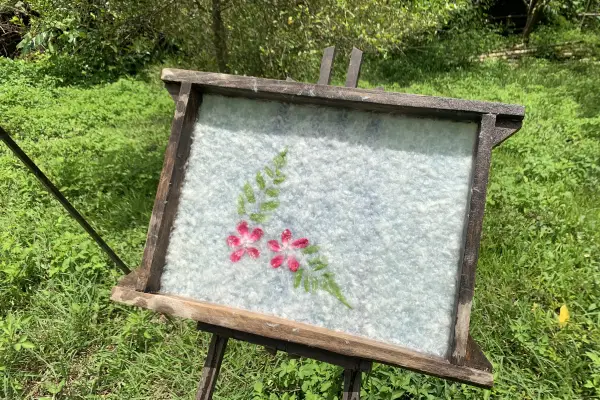 南东公园的桑蚕纸工坊