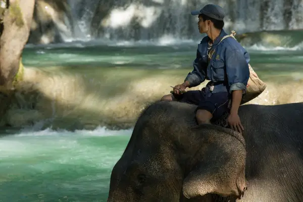 2 Days Deluxe Living with Elephant Mahout Program