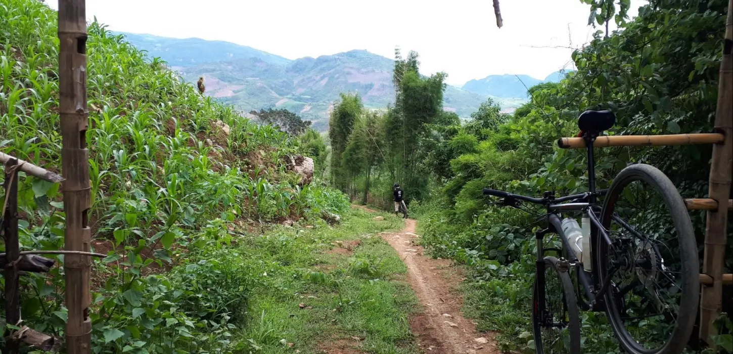 1 Day Biking On/Off-road "The Lung Buster" - Jungle Explorer
