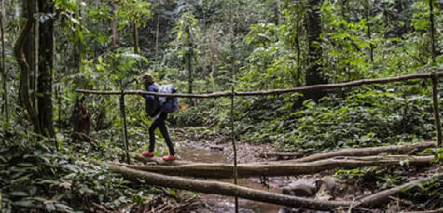 4-Day Jungle Trekking & Camping Adventure in Nam Ha – Luang Namtha