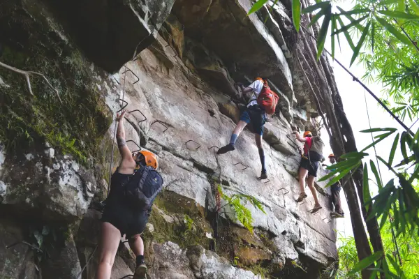 樹頂探險者（3天/2夜）