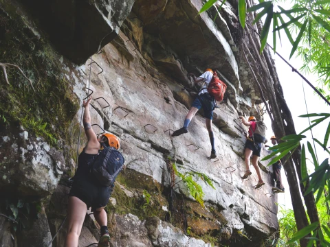 樹頂探險者(3天/2夜) 樹頂探險者(3天/2夜)