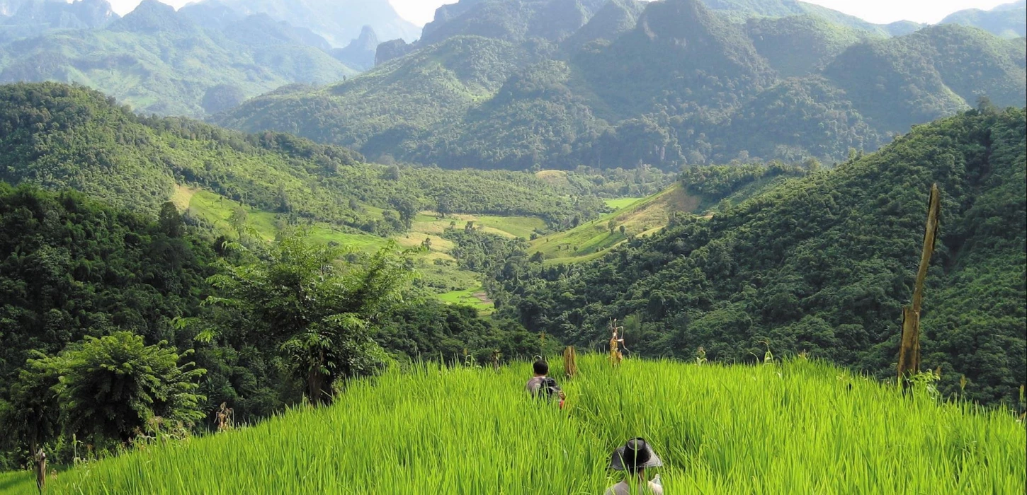 2 Day Trek & Homestay in Nong Khiaw & Tadmok Waterfall