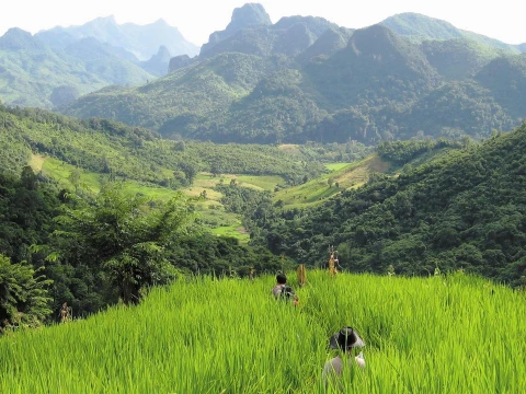2 Day Trek & Homestay in Nong Khiaw & Tadmok Waterfall 2 Day Trek & Homestay in Nong Khiaw & Tadmok Waterfall