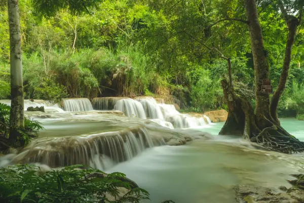 Kuang Si Waterfall and “The View” Insight