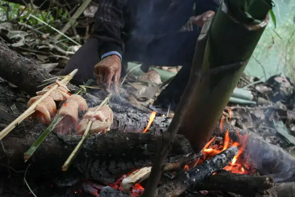 The Wild Explorer – Big Adventure with Jungle Camping