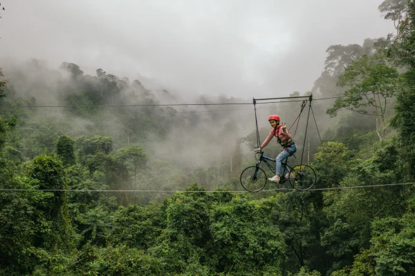 Tree Top Experience at Nam Pien Yorla Pa