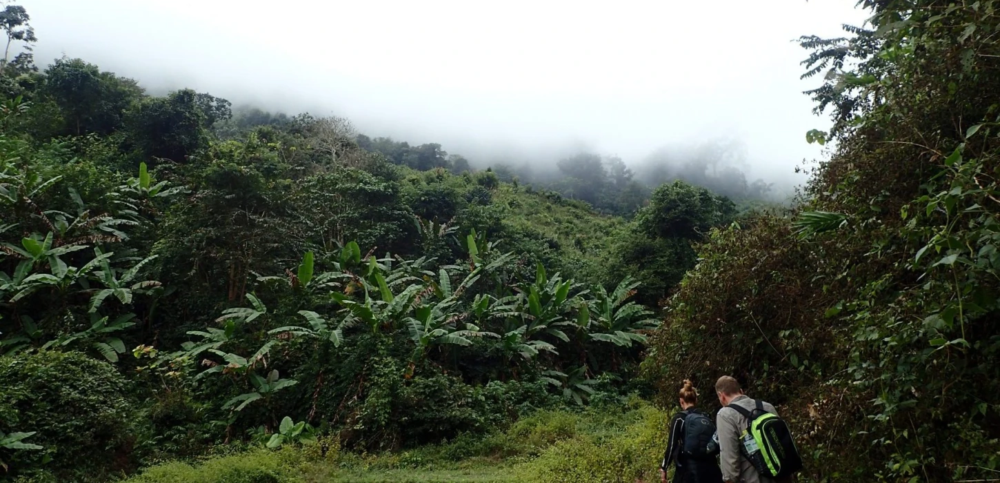 Nam Oun Wilderness Trail