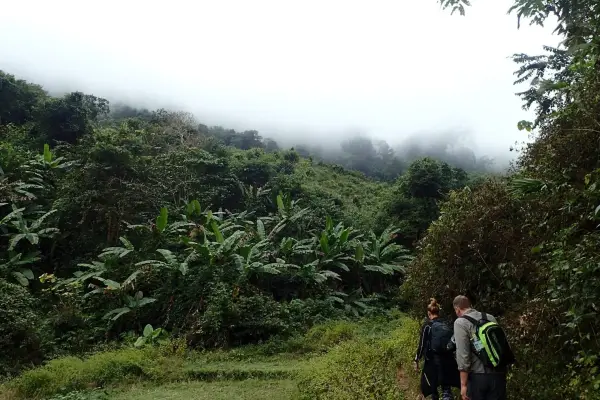 Nam Oun Wilderness Trail