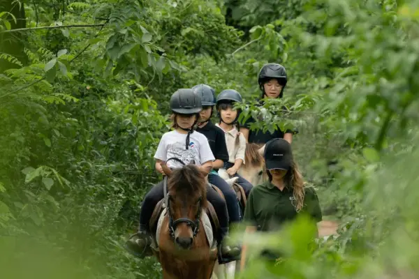 Half-Day Family Horse Adventure at NamKhan Horses Stables