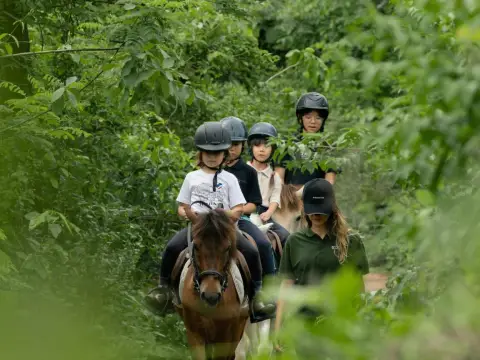 Half-Day Family Horse Adventure at NamKhan Horses Stables