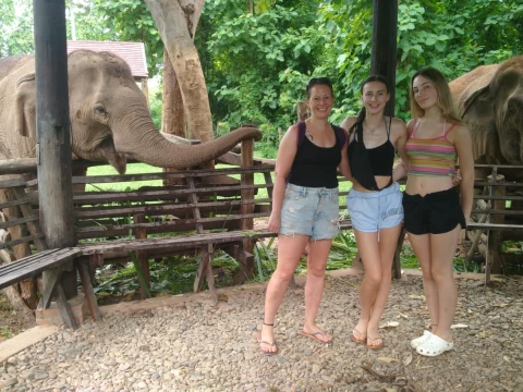 Highlights of a 2-Day Elephant Whisperer Experience Highlights of a 2-Day Elephant Whisperer Experience