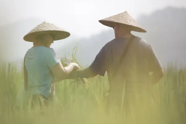 1-Day Rice is Life Experience & Kuang Si Waterfall