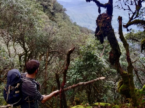 Hiking Hiking