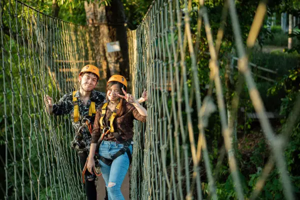 全天绳索课程、滑索以及在花园周围骑象