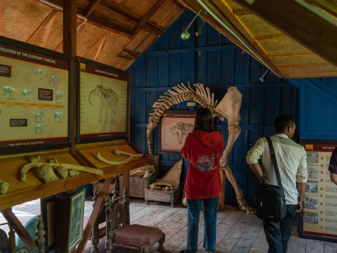 A Short Visit to Elephant Village