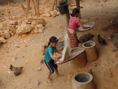 ชีวิตของชาวใต้