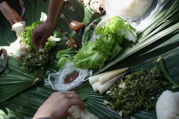 Nam Ha National Protected Area Safari