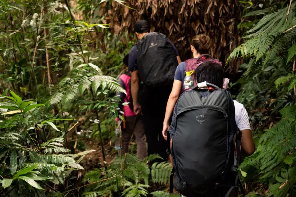 1 Day trek in Nam Ha – National Protected Area (4-5 Hours Trek)