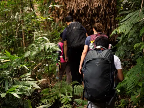 1 Day trek in Nam Ha – National Protected Area (4-5 Hours Trek)
