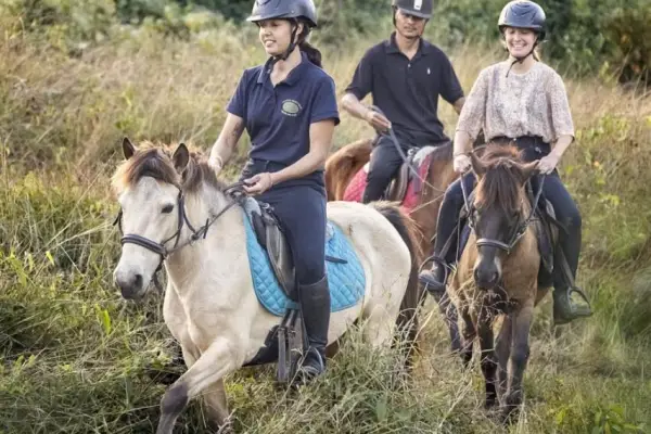 2-Hour Pony Ride: Rivers, Forest, Bamboo & Weaving Villages, and Temple