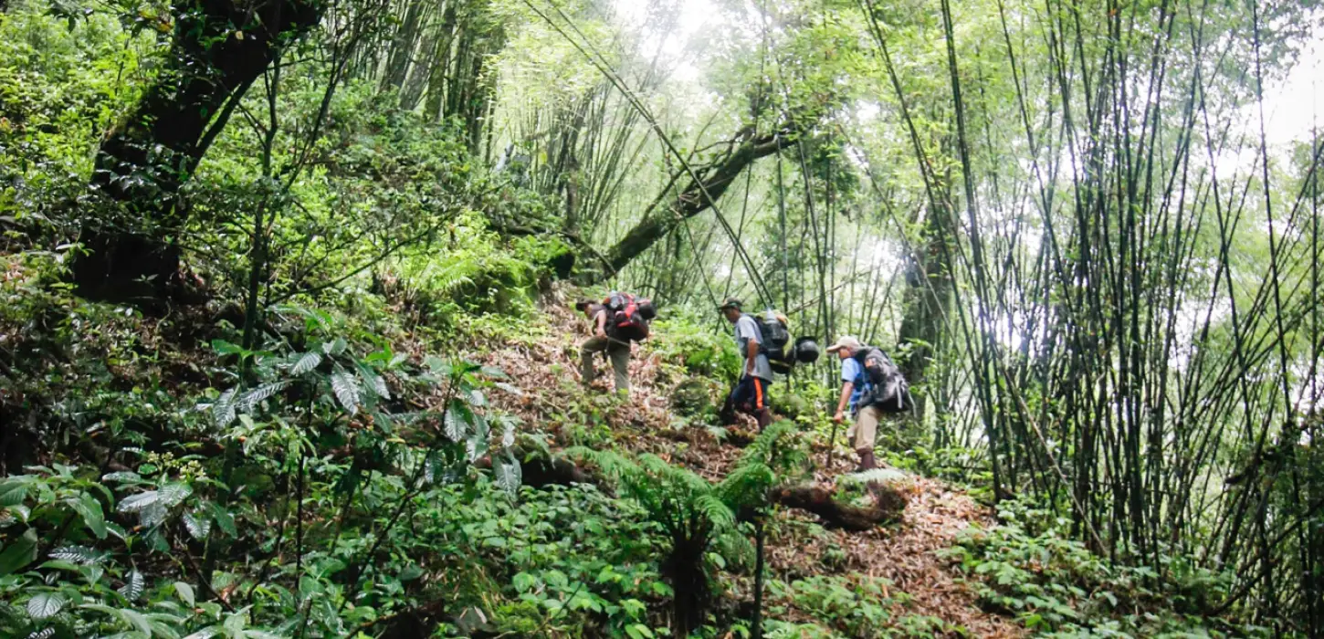 Hiking