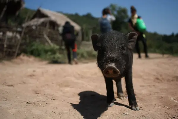 Exploring Remote Ethnic Lands
