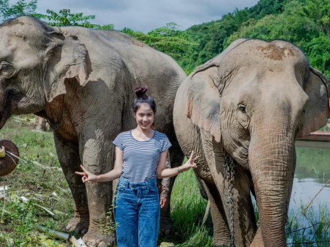 ใกล้ชิดกับช้าง ใกล้ชิดกับช้าง