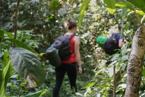 Nam Ha Rainforest Trek