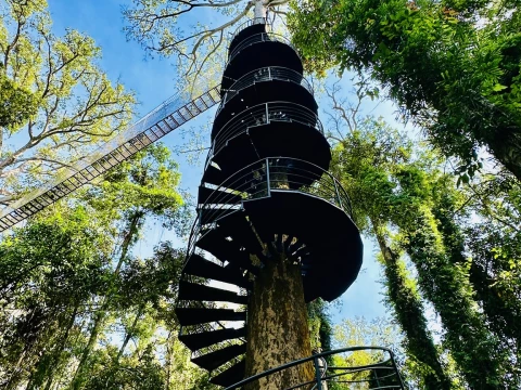 Canopy Walkways & Zipline Adventure at La Forêt Vientiane Canopy Walkways & Zipline Adventure at La Forêt Vientiane